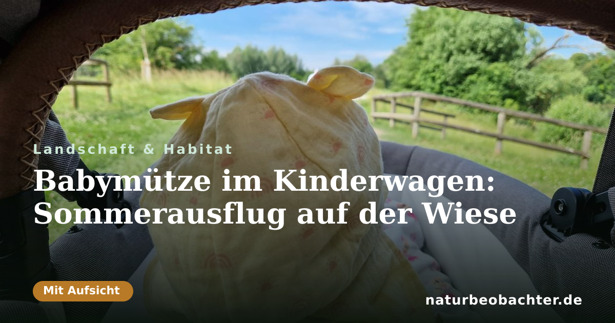 Vorschau der Teilen-Karte: Babymütze im Kinderwagen: Sommerausflug auf der Wiese
