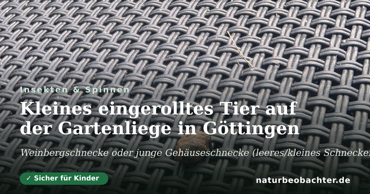 Vorschau der Teilen-Karte: Kleines eingerolltes Tier auf der Gartenliege in Göttingen