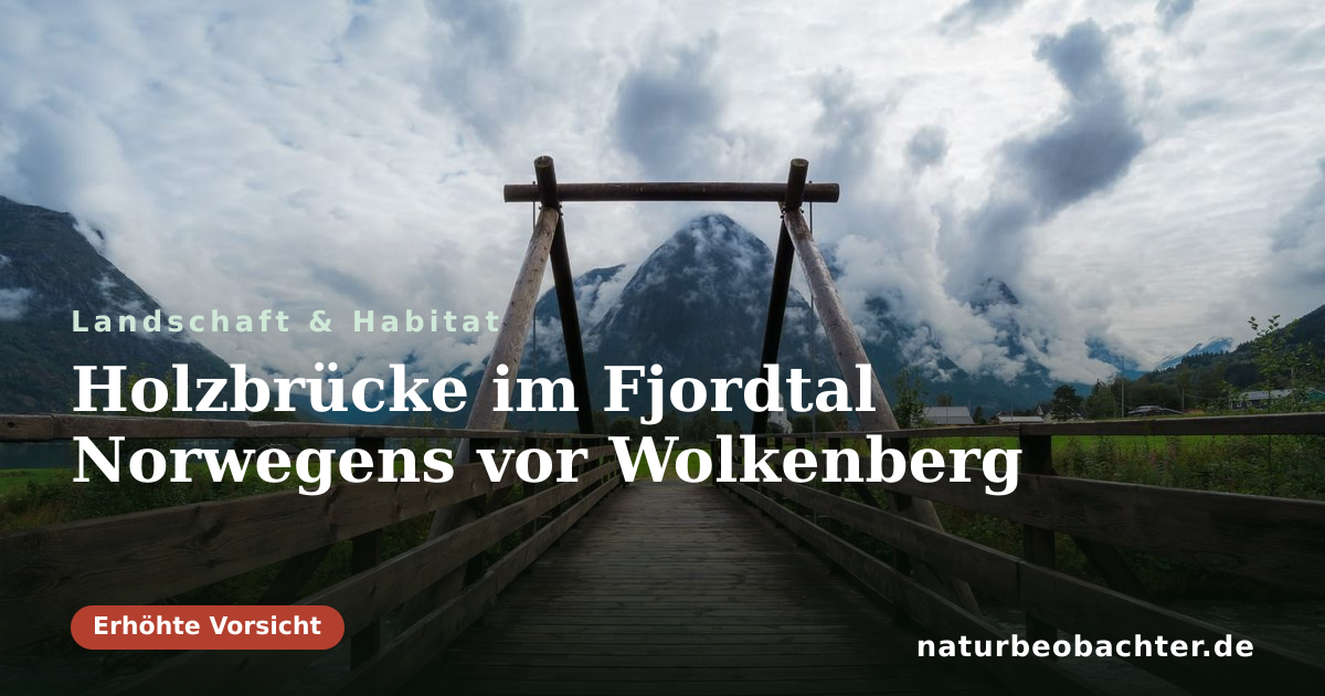 Vorschau der Teilen-Karte: Holzbrücke im Fjordtal Norwegens vor Wolkenberg