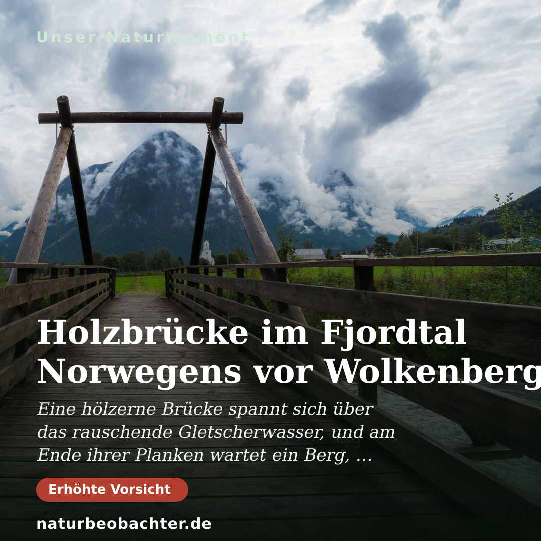 Druck-Vorschau: Holzbrücke im Fjordtal Norwegens vor Wolkenberg