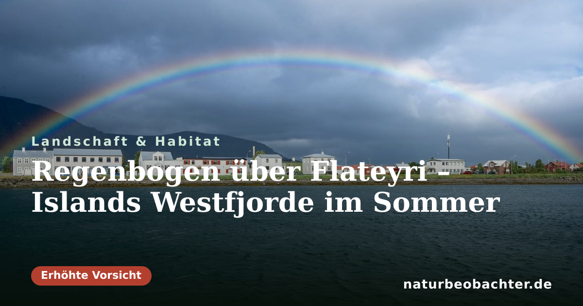 Vorschau der Teilen-Karte: Regenbogen über Flateyri – Islands Westfjorde im Sommer