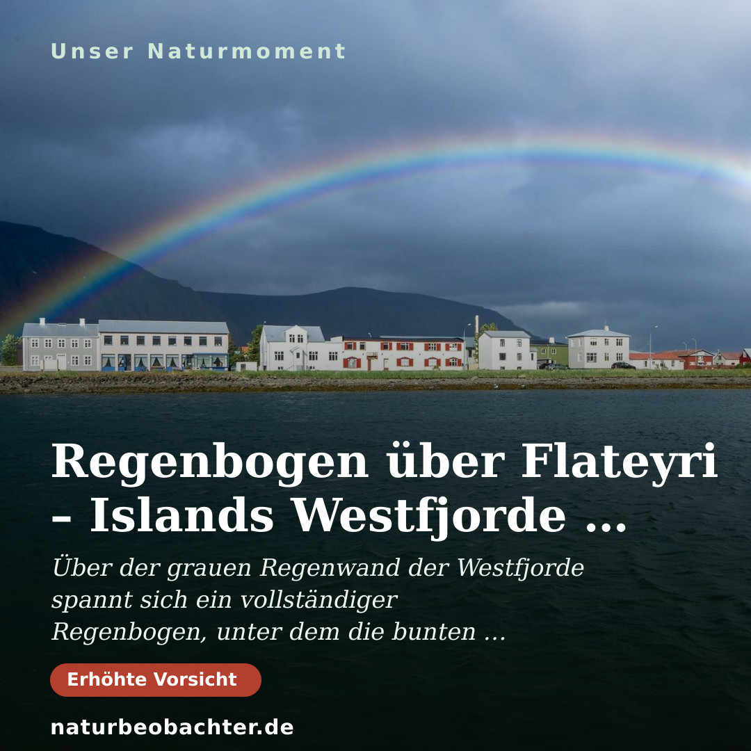 Druck-Vorschau: Regenbogen über Flateyri – Islands Westfjorde im Sommer