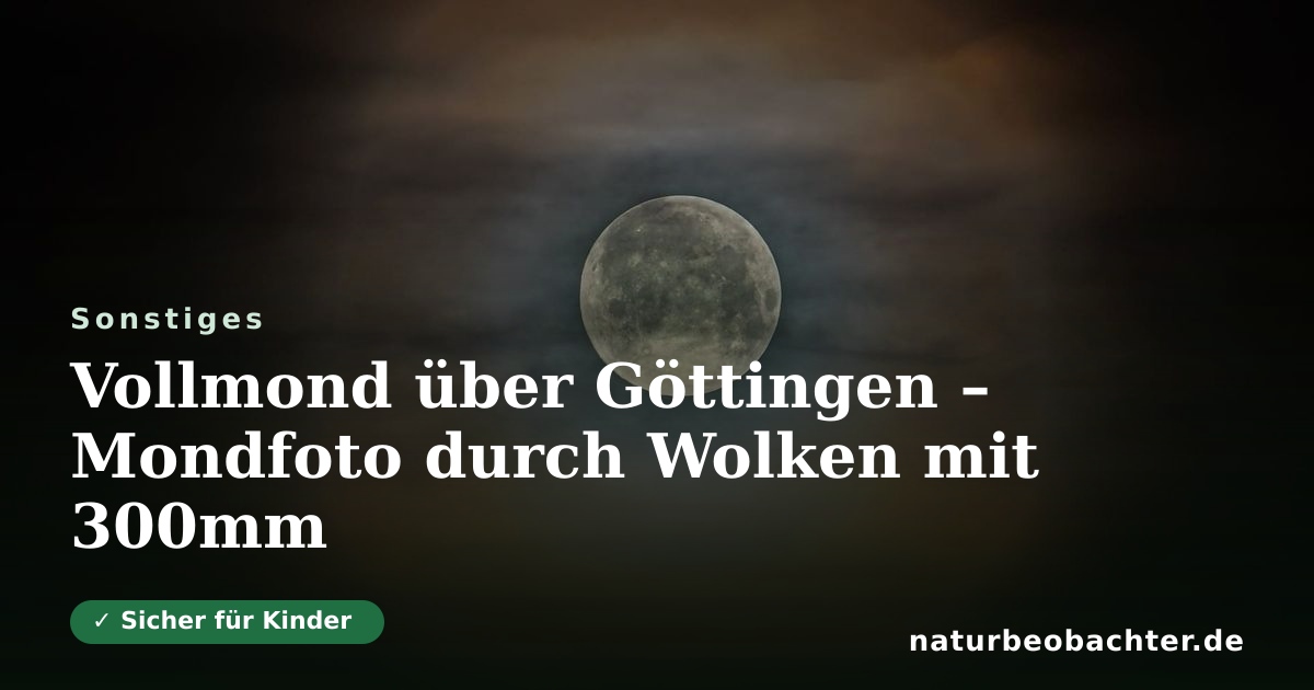Vorschau der Teilen-Karte: Vollmond über Göttingen – Mondfoto durch Wolken mit 300mm