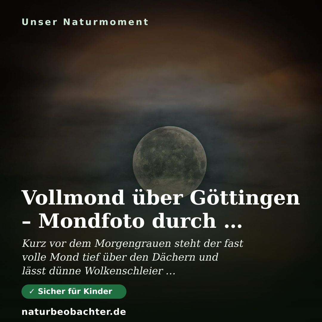 Druck-Vorschau: Vollmond über Göttingen – Mondfoto durch Wolken mit 300mm