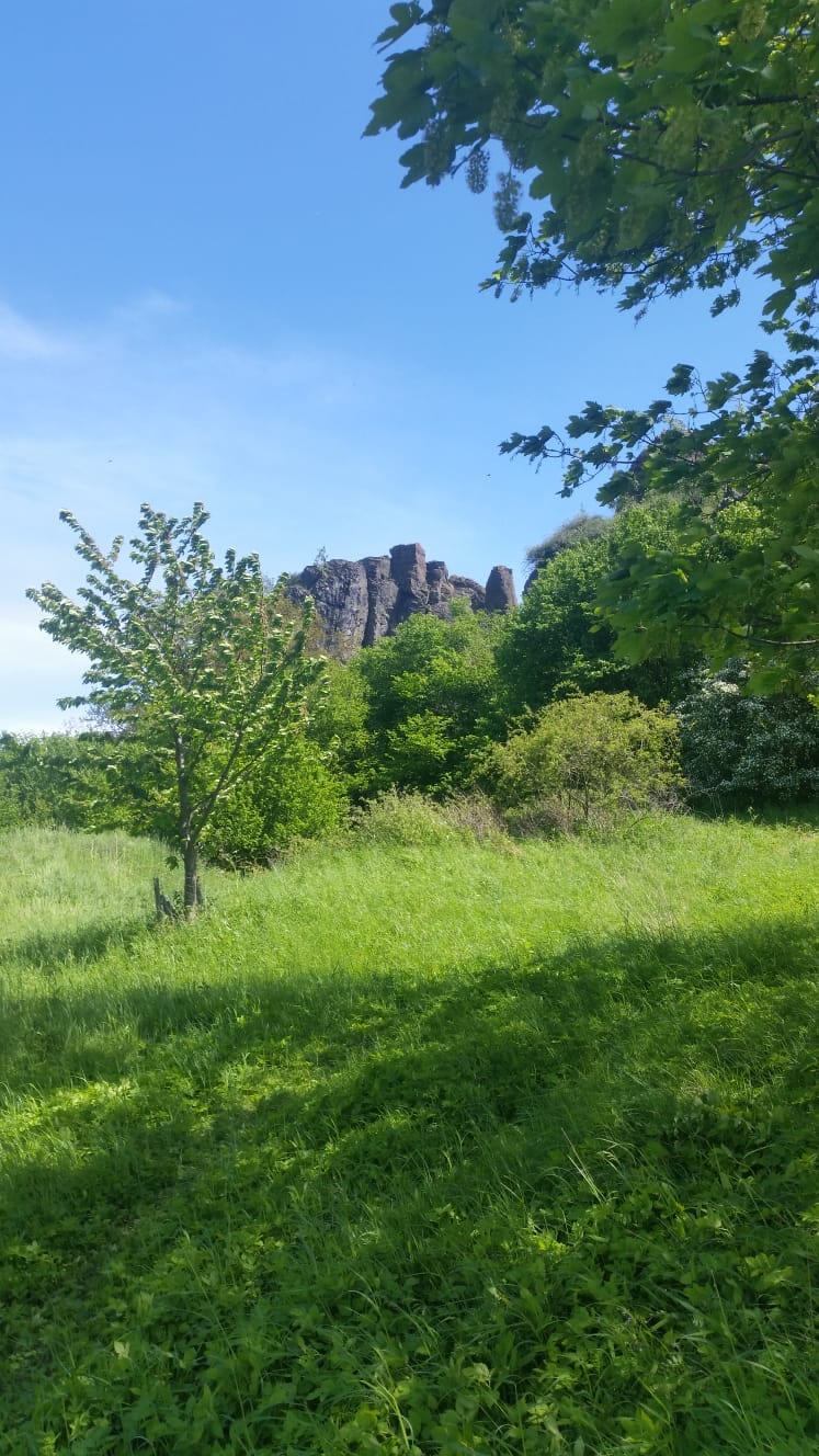 Felsiger Klippenkamm ragt über eine sonnige, hohe Bergwiese mit jungen Laubbäumen, dazu ein GPS-Wanderkarten-Screenshot der Harz-Region.
