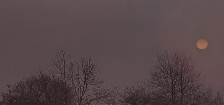 Bewaldeter Hangrücken am Talrand