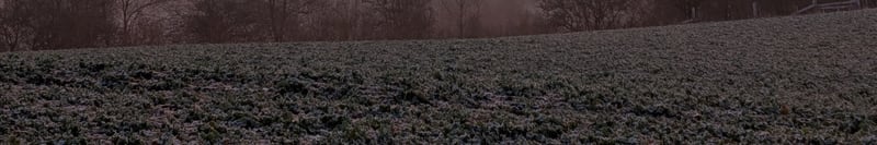 Frostiges Feld im Vordergrund