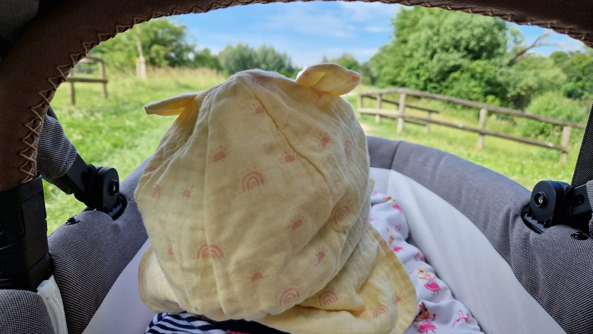 Hohe, ungemähte Sommerwiese