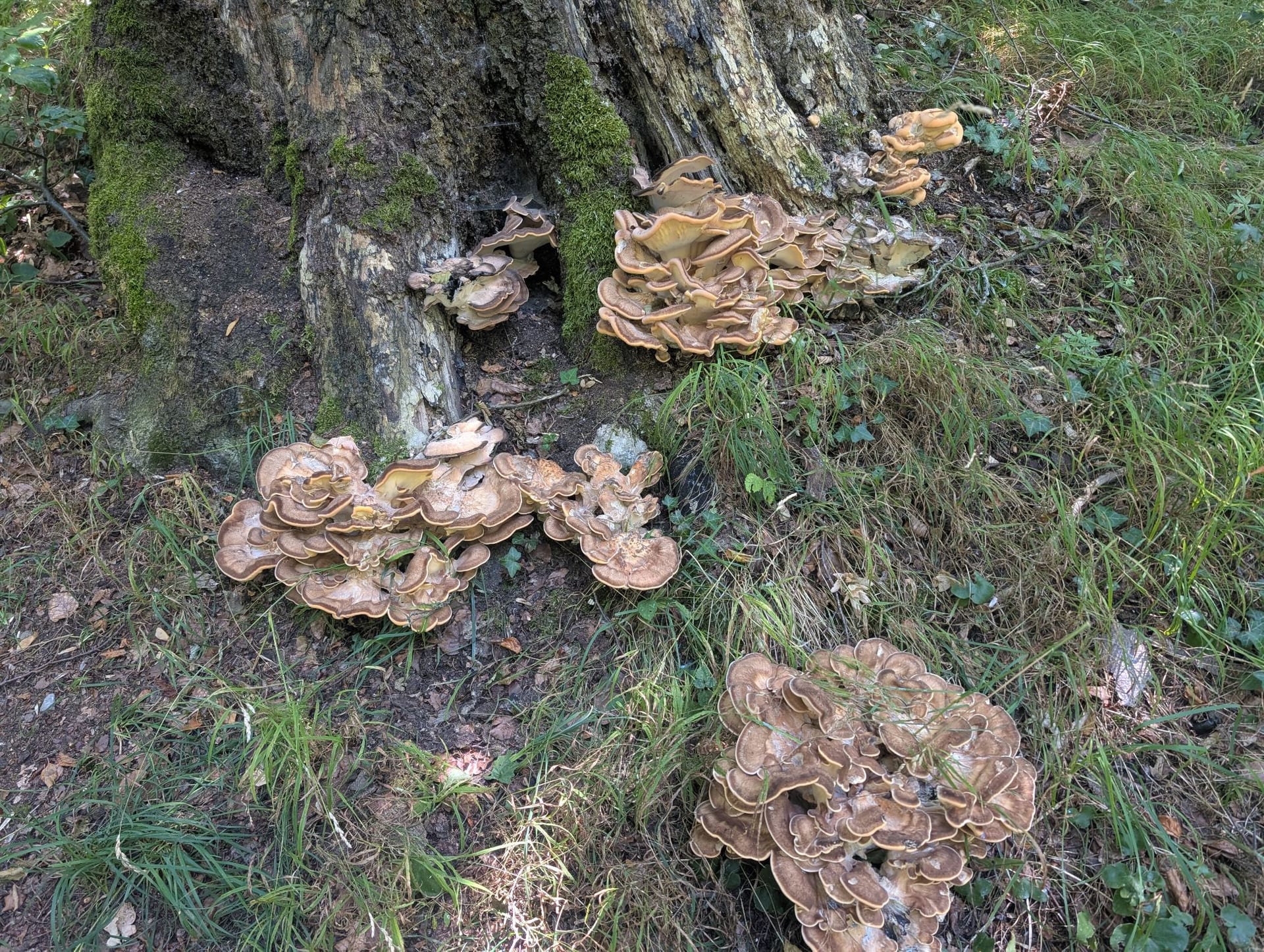 Foto 2