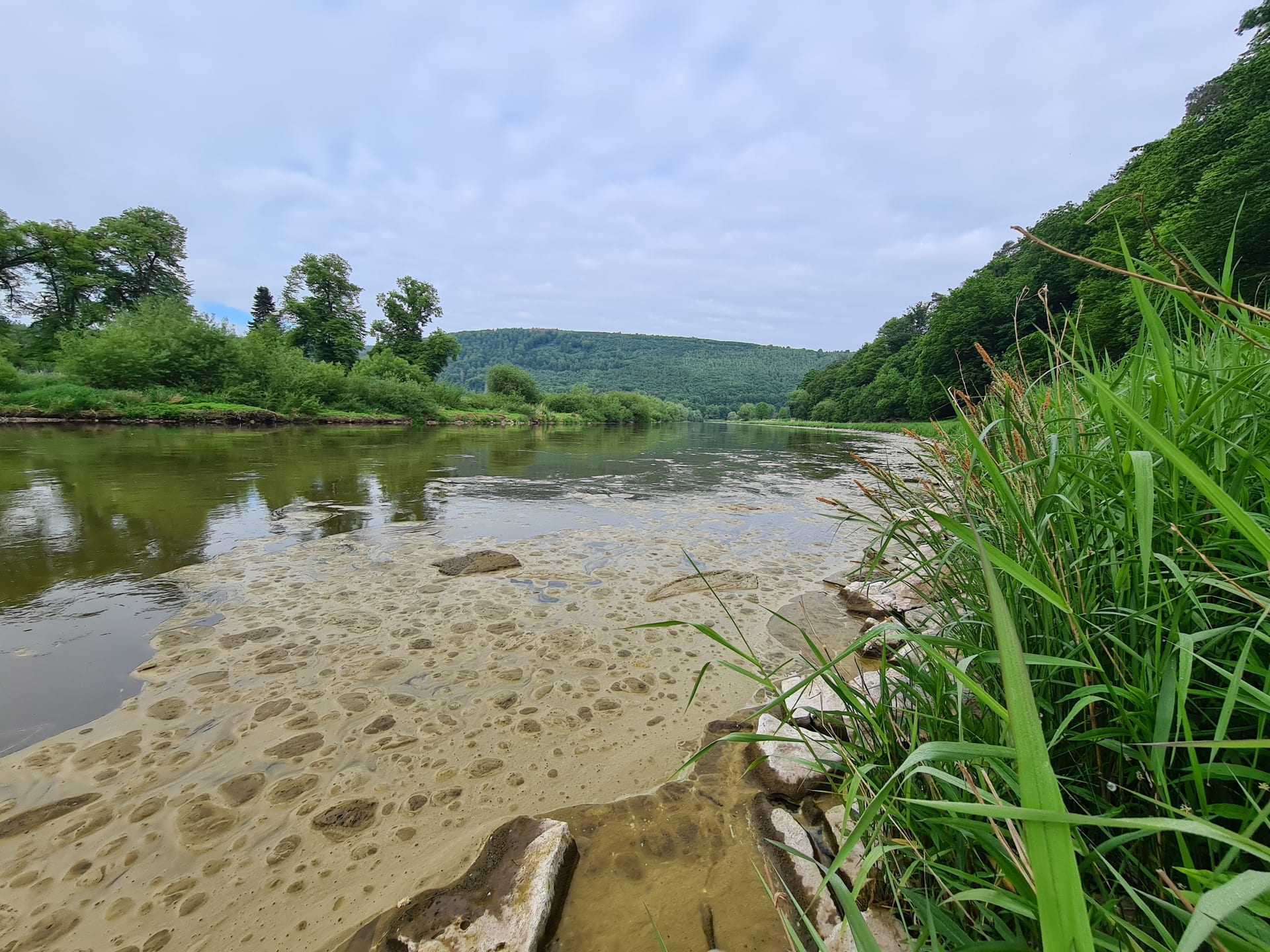 Sandige Uferbank mit Treibschaum an der Wasserlinie