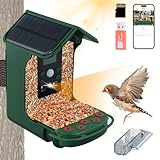 Vogelhaus mit Kamera, 1080P HD 5 W Smart Vogelfutterhaus mit Solarenergie, Outdoor Bird Feeder Camera, Vogelfutterspender, Automatische Bild/Videoaufnahme, 32G-Karte