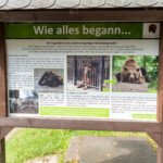 Das Schild informiert über die Entstehung des Bärenpars in Worbis